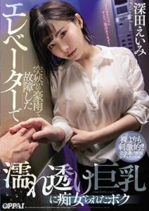 [PPPD-853] The Elevator Broke Down Due To A Sudden Rainstorm, And Now I Was Being Fucked By A Slut With Big Tits Transparently Beckoning Me Through Her Dripping Wet Shirt Amy Fukada
